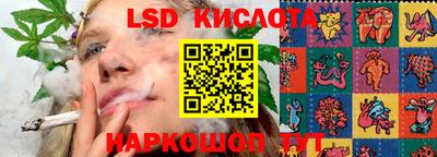 шишки Аргун