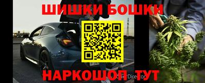 шишки Аргун