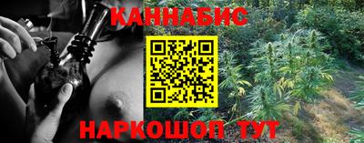 шишки Аргун