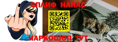 шишки Аргун