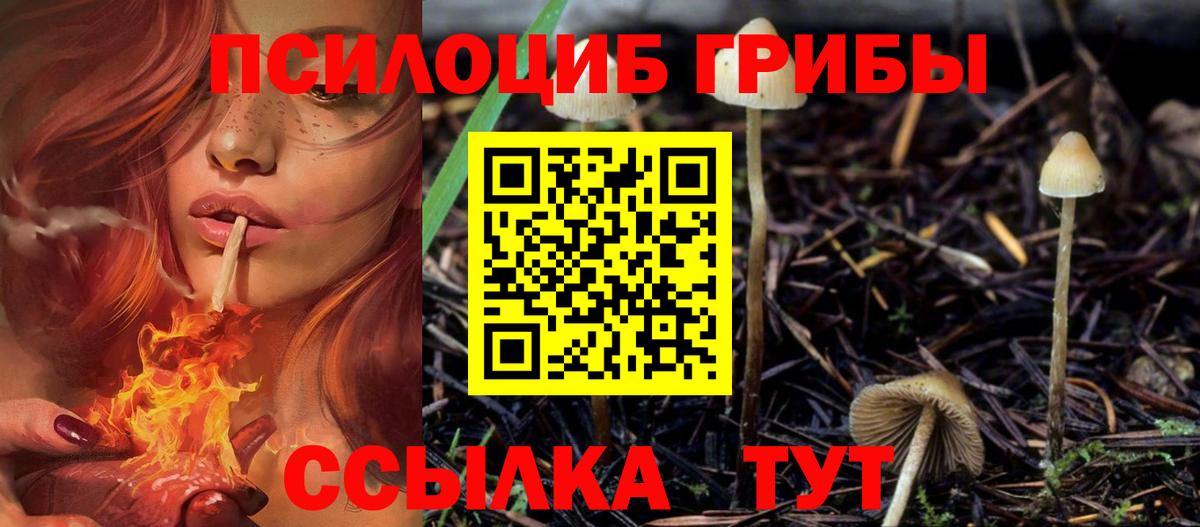 Псилоцибиновые грибы мицелий Волгодонск