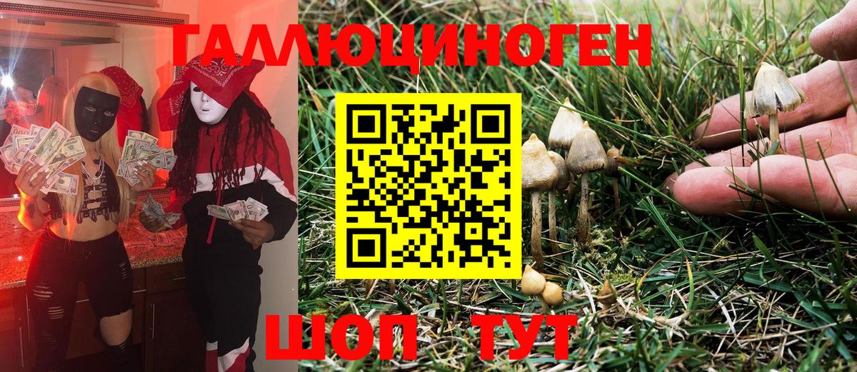 Псилоцибиновые грибы GOLDEN TEACHER  Вход с VPN  Псилоцибиновые грибы Psilocybe  Волгодонск 
